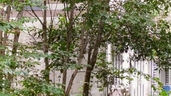 Chính chủ bán đất thổ cư, 1 sẹc Tỉnh Lộ 7, xã An Nhơn Tây, Củ Chi