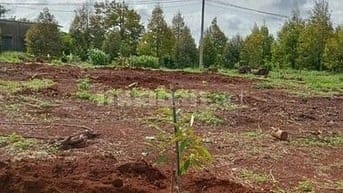 Chính chủ cần bán lô đất trồng sầu riêng  16.000m2( 1 mẫu 6)