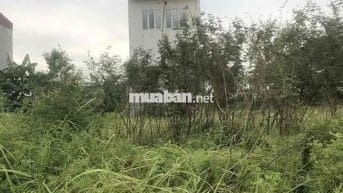 Đất 100m2 ngang 5m MT đường 12m Anh Dũng 5 chỉ 1,86 tỷ