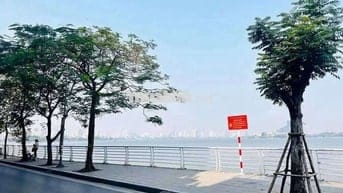 Võng Thị - View Hô Tây Lộng Gió - Ô Tô Tránh KD 50m2 Đ 14,8ty