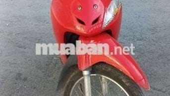 Cá nhân wave ở nhà