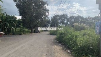 Đất dân chính chủ cần bán . Công chứng sang tên liền tay