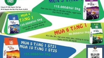 GẠO LẠC VIỆT – ƯU ĐÃI LỚN CHO BẾP ĂN & QUÁN CƠM