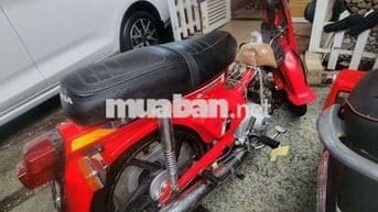 Dd đỏ mới sơn lại