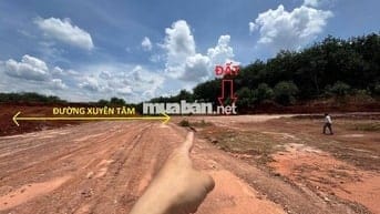 Ngay góc Ngã Tư với Tuyến 4 - từ Tuyến 4 tới đất đúng 80 mét