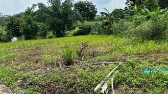 🔥HOT!!! CHỈ 4xx TR^IỆU🔥Phúc trìu (cũ), X.Phúc Thuần, T.Thái Nguyên