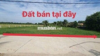 🏡 Đất 1034m² Phước Thạnh – có 300m² thổ, QHKDC xây ngay, giá 3.6 t