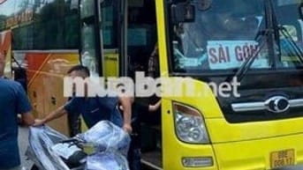 Em yaz tâm huyết AE về chỉ việc đổ xăng nhớt