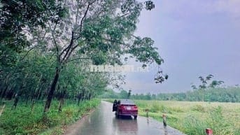 Chủ mới gửi cần bán gấp lô đất ở Minh Thạnh, Dầu Tiếng, 181m2, 270tr.