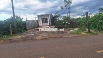 820trieu sở hữu nhà câp 4. Dt :10 x81 :50tc có nhà cấp 4