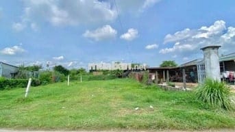🌿 Bán đất vườn Gò Dầu – 1150m²  – Giá rẻ như cho, chỉ 920 triệu!