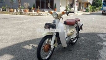 Cúp 50 đời 81 bs65