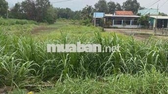 chính chủ cần bán đất mặt tiền đường T12 Bình Chánh