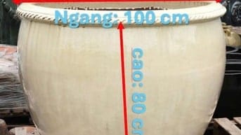 chậu hoa trồng mai hoặc bon sai