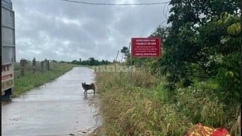 Bán đất tại Thôn Nam Rạ, xã Đắk Nia, tp Gia Nghĩa, tỉnh Đắk Nông