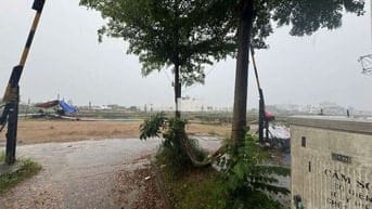 HXH Lê Đức Thọ - Đất Trống 4 x 19 - Full Thổ Cư - 7 Tỷ hơn TL