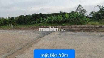 BÁN 2000M2 ĐẤT LÚA KHU TIỀM NĂNG MỚI