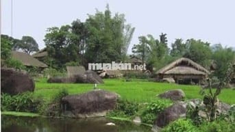 BÁN GẤP 5000m2 ĐẤT MẶT TIỀN TỈNH LỘ 15 - CỦ CHI -TIỀN TỶ TƯƠNG LAI