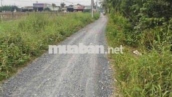 Bán đất Long An - Nhận kí gửi, tìm mua đất