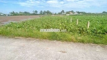 Tôi cần tiền cần bán gấp, giá rẻ nhất khu vực.