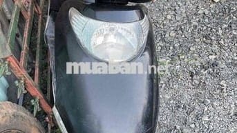 spacy 100 xe nhật honda