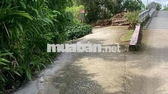 5 Công Đất Ruộng Lộ Ô Tô Cách Chợ Cờ Đỏ 2km