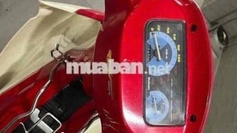 su xipo 98 zin nhiều hqcn, mới giám định ra bs