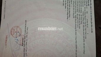 Đất Chợ Cầu Đôi, Đất full thổ, đường bê tông 5m, cách lộ nhựa 100m