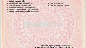 Đất thổ cư 600m2 một xec tỉnh lộ 824 xã Mỹ Hanh nam