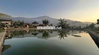 Làm ăn thua lỗ bán gấp lô đất tặng nhà có sẵn sân vườn view hồ Đà Lạt