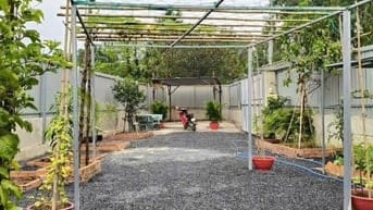 🌴 BÁN ĐẤT VƯỜN NGHỈ DƯỠNG – GIÁ CHỈ 1 TỶ 850 – SỔ ĐỎ RIÊNG