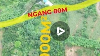 Gần 11.000m2 đất, 80m mặt tiền lớn, hông ôm suối
