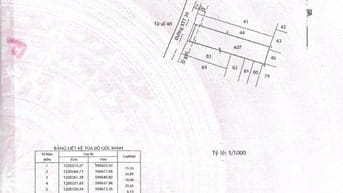 BÁN ĐẤT MẶT TIỀN XXT30, HÓC MÔN, 10X40 THỔ CƯ 100%