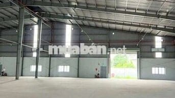 CHO  THUÊ  KHO  XƯỞNG ( 1000m2) PHƯỜNG  HIỆP  TÂN. QUẬN  TÂN  PHÚ