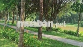 ĐẤT NỀN VIEW SÔNG THỊ TÍNH NGAY TRƯỜNG ĐẠI HỌC VIỆT ĐỨC