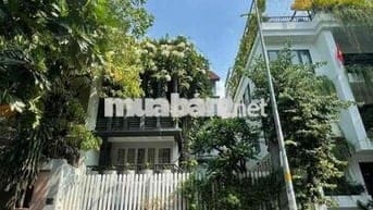 Cho thuê nhà nguyên căn khu tân định diện tích 8x18m