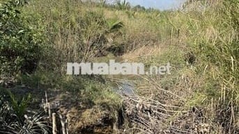 BÁN ĐẤT ĐẸP GẦN RẠCH PHƯỚC LONG – NHÀ BÈ