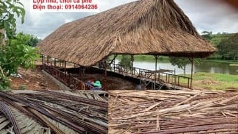 Bán lá dừa nước lợp nhà, lợp quán ăn, lợp quán cà phê
