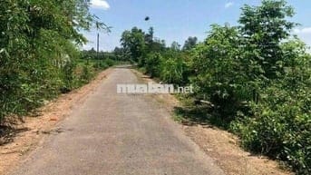 Bán lô đất mặt tiền đường suối cao 2ha7, giá 400tr/ sào