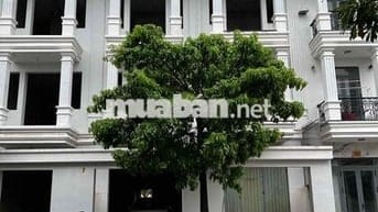 Cho thuê nhà trống làm văn phòng, nhà ở