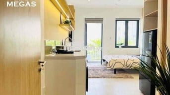 Cho Thuê Căn Hộ Chung Cư Mini Ban Công Ngay Vòng Xoay Cống Quỳnh Q1