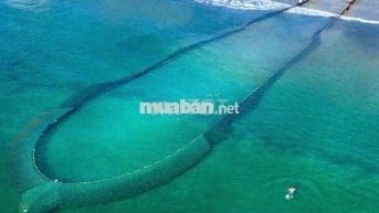 CHO THUÊ MẶT BẰNG 3 MẶT TIỀN HOÀNG SA & TRẦN NGUYÊN HÃN -  HƠN 1000M2