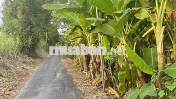 Lộ Đang Mở Rộng . Rẻ Nhất Khu vực ( Cạnh 22 cạnh 11 )