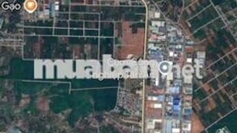 đất ngã 3 cây phượng Cưsue ngay khu công nghiệp Tân An