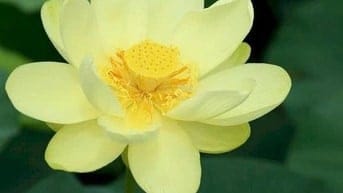 Nhận làm Kế toán trọn gói, Báo cáo thuế, Quyết toán thuế, Hoàn thuế...