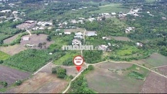 Chính chủ nền nở hậu thổ cư sổ riêng hướng đông nam