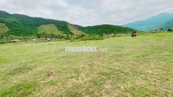 Bán lô đất 6700m2, view sông, Thôn Nam Yên & An Định, Hòa Bắc, 5.45 tỷ