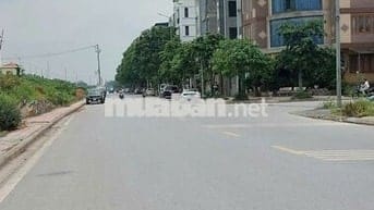 Bán đất phố Đức Giang 45m2- sổ vuông-5.5 tỷ, gần ô tô tránh. giá h.iếm