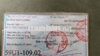 shark 170 hàng hiếm 2 đĩa