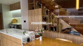 Bán nhà vip mới Hoà xuân đẳng cấp sinh thái pro